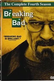 Постер сезона 4 Во все тяжкие